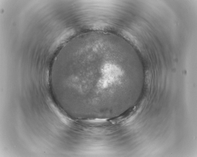 X0000088850589200706221702