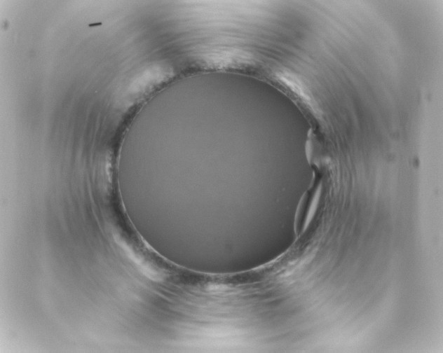 X0000088850590200706221702