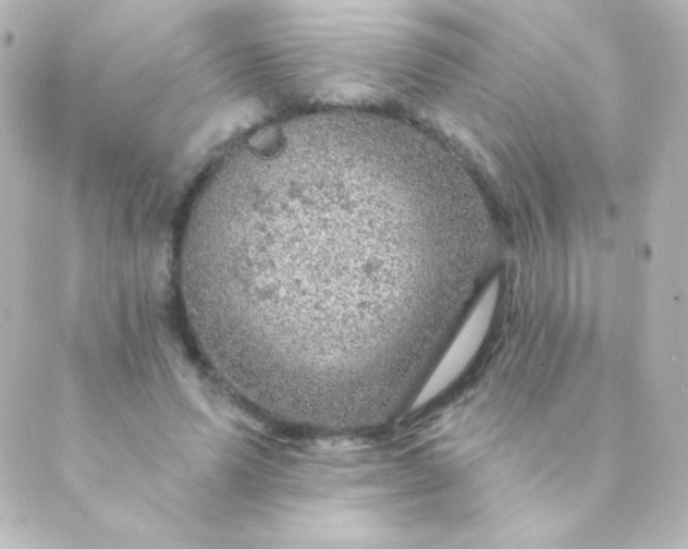 X0000088850591200706221702