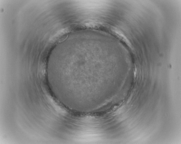 X0000088850593200706221702