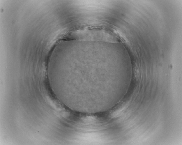 X0000088850594200706221702