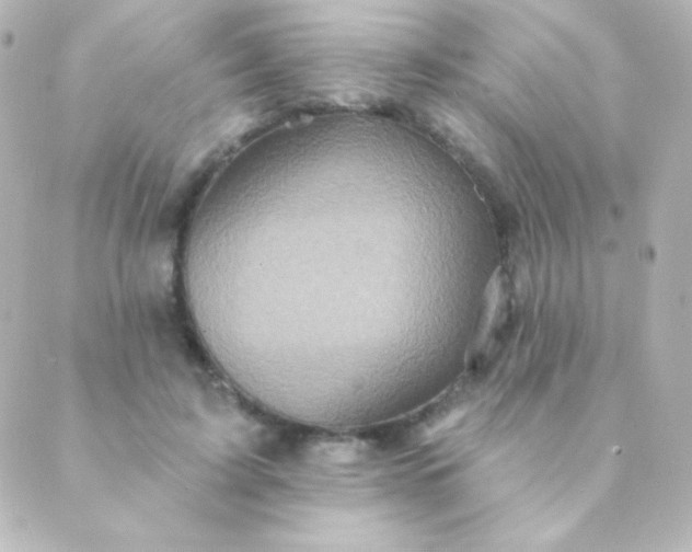 X0000088850595200706221702