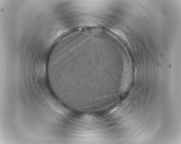 X0000088850596200706221702