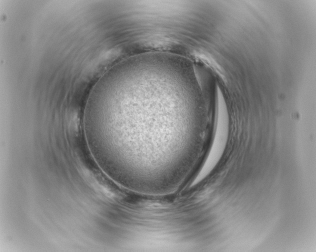 X0000088850597200706221702