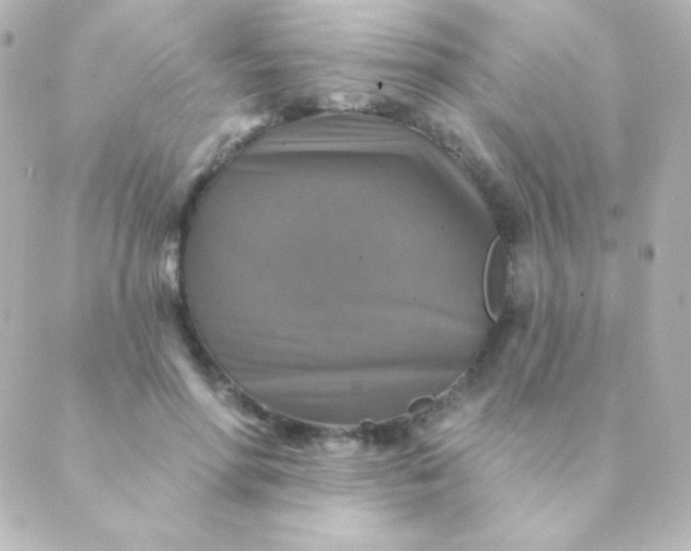 X0000088850598200706221702