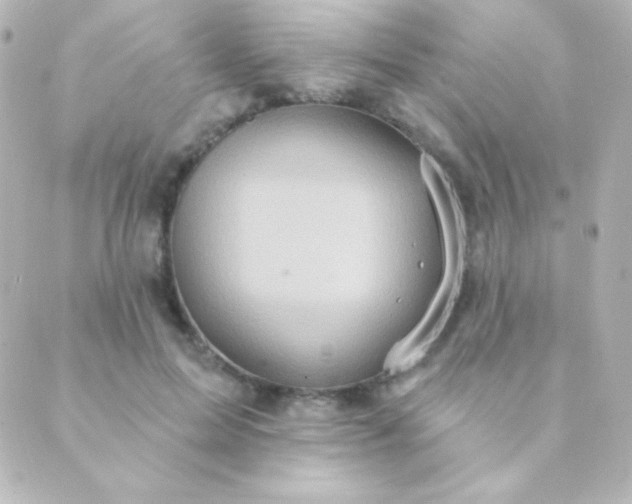 X0000088850599200706221702