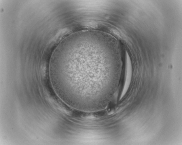 X0000088850600200706221702