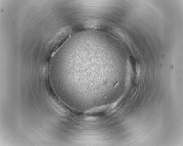 X0000088850601200706221702