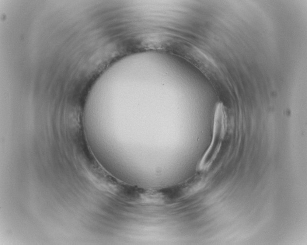 X0000088850603200706221702