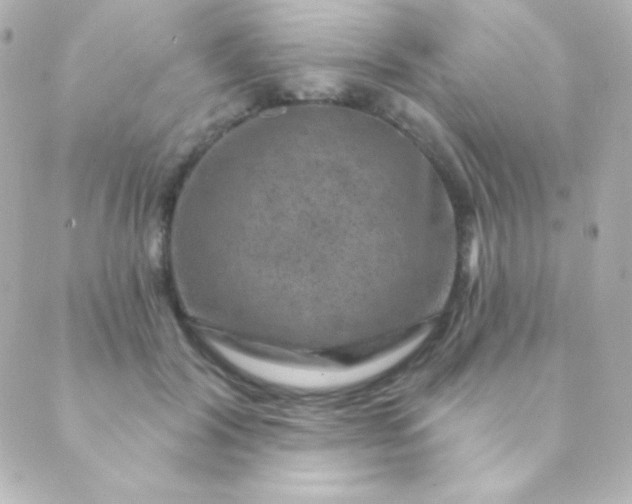 X0000088850604200706221702