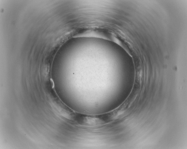 X0000088850605200706221702