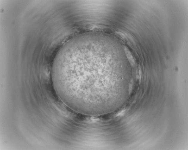 X0000088850607200706221702