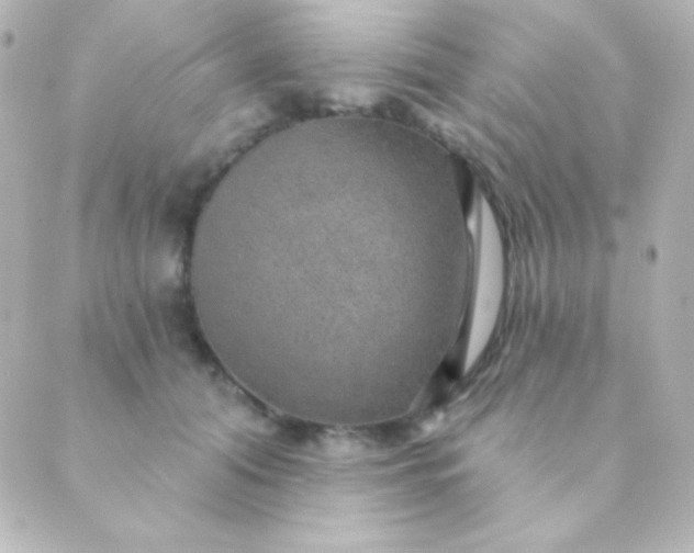 X0000088850608200706221702