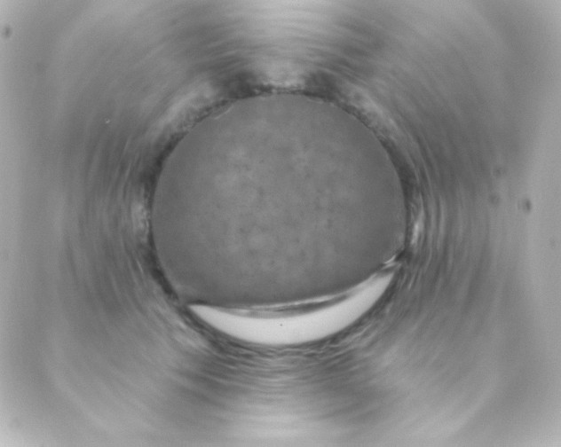 X0000088850609200706221702