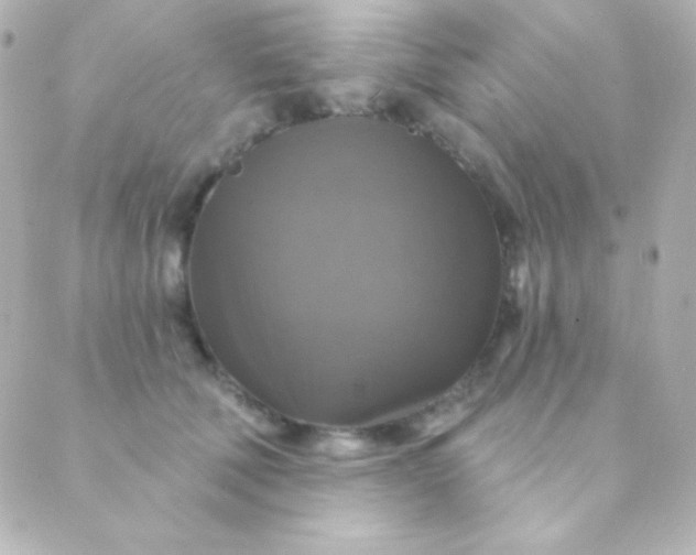 X0000088850610200706221702