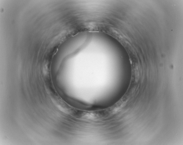 X0000088850611200706221702