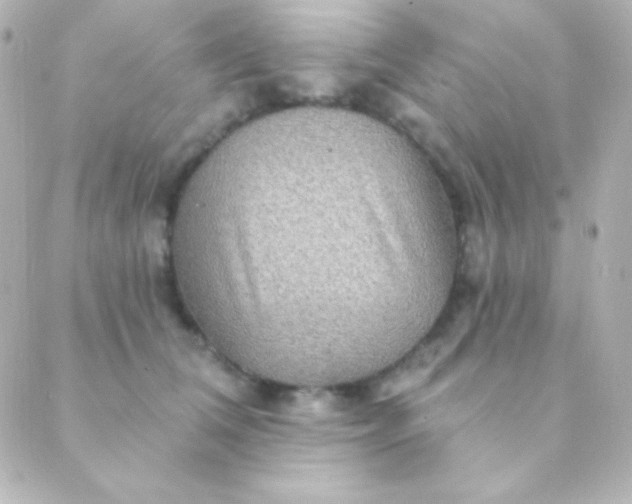 X0000088850612200706221702