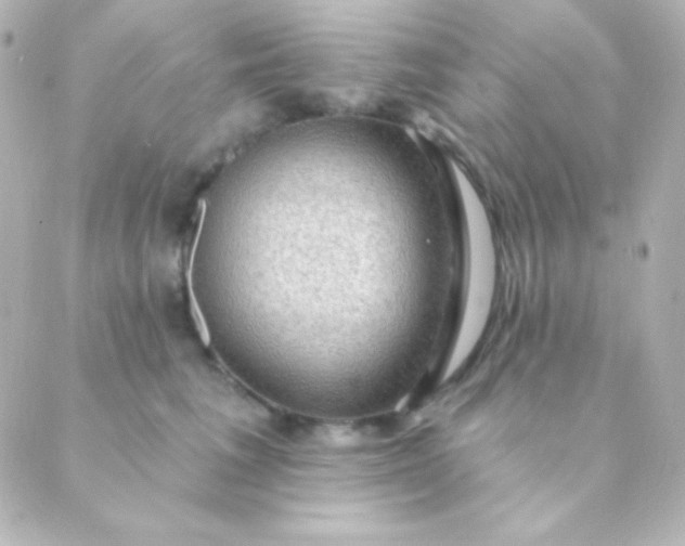 X0000088850613200706221702