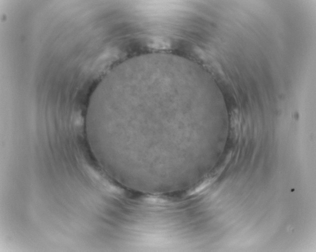 X0000088850614200706221702