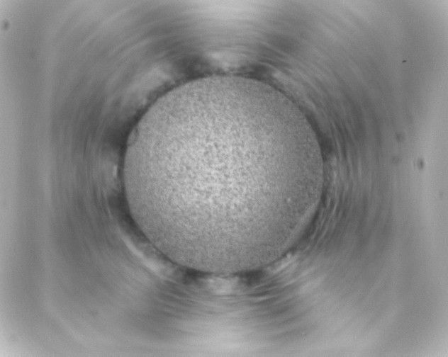 X0000088850615200706221702