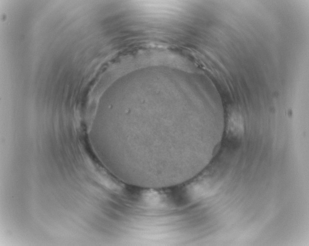 X0000088850616200706221702