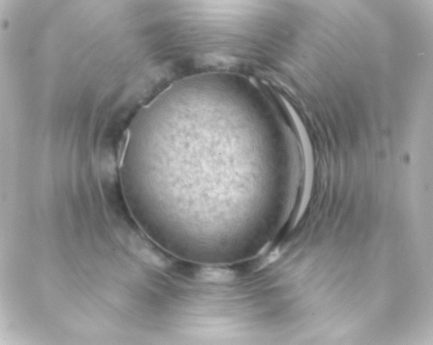 X0000088850617200706221702