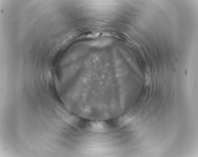 X0000088850618200706221702