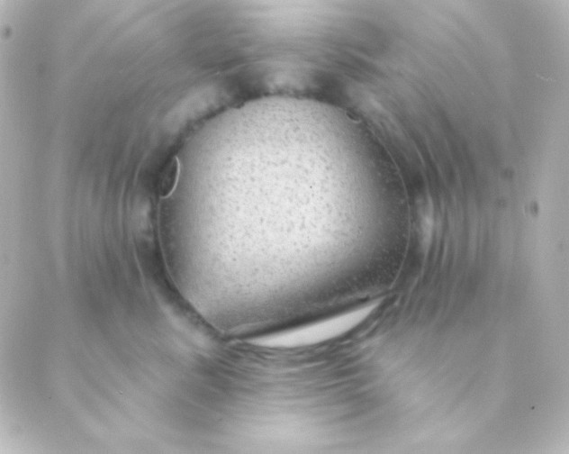 X0000088850619200706221702