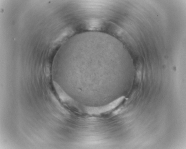 X0000088850620200706221702