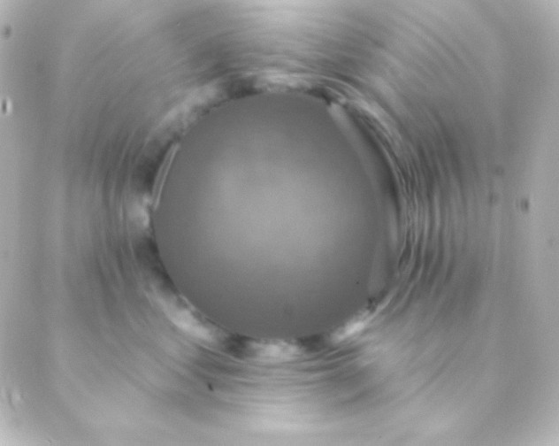 X0000088850621200706221702