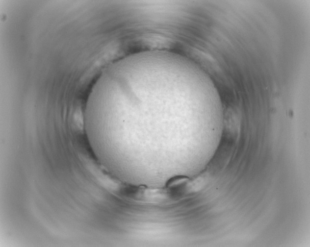 X0000088850622200706221702