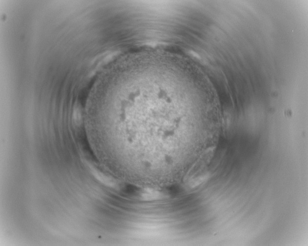 X0000088850623200706221702