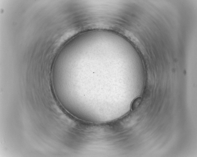 X0000088850625200706221701