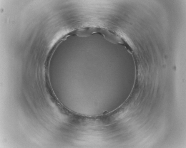 X0000088850626200706221701