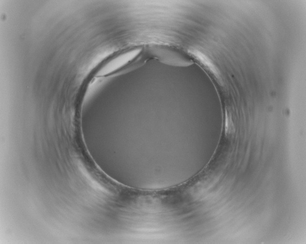 X0000088850627200706221701