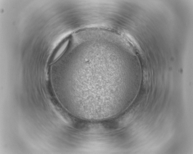 X0000088850628200706221701