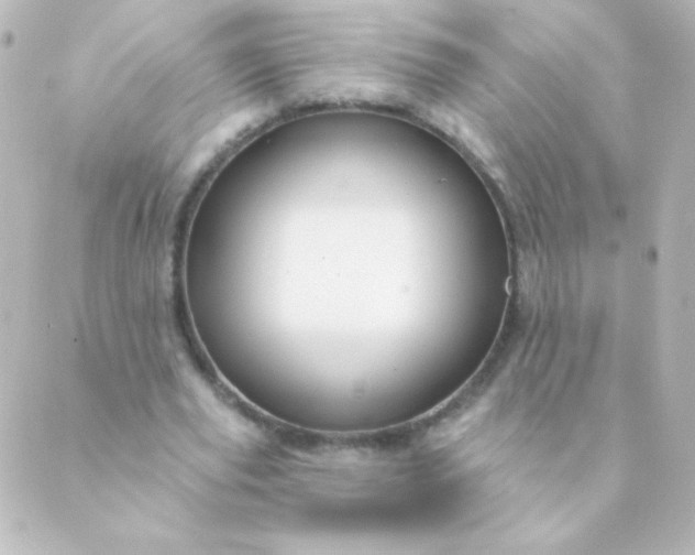 X0000088850629200706221701