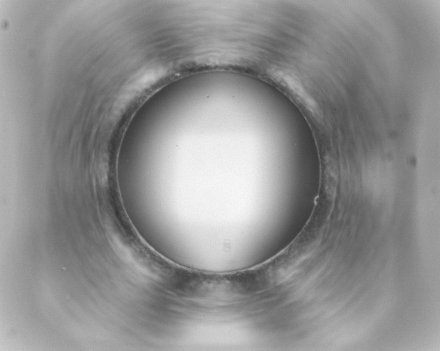 X0000088850631200706221701