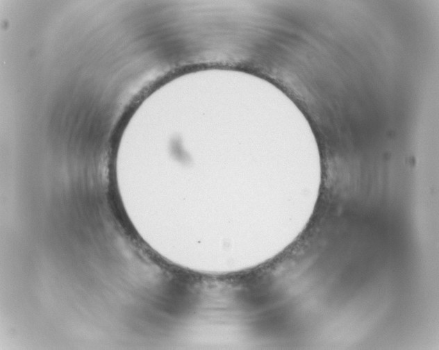 X0000088850632200706221701