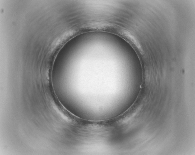 X0000088850633200706221701