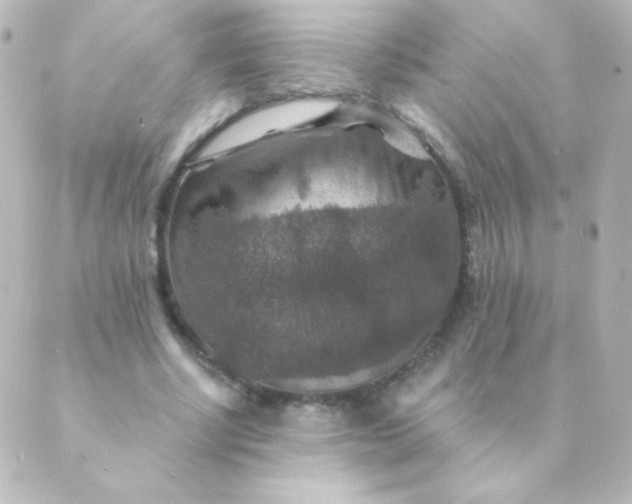 X0000088850634200706221701