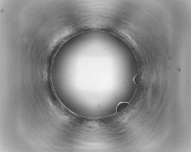 X0000088850635200706221701