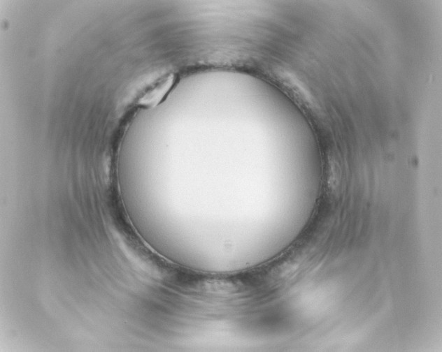 X0000088850636200706221701