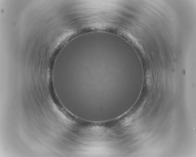 X0000088850637200706221701