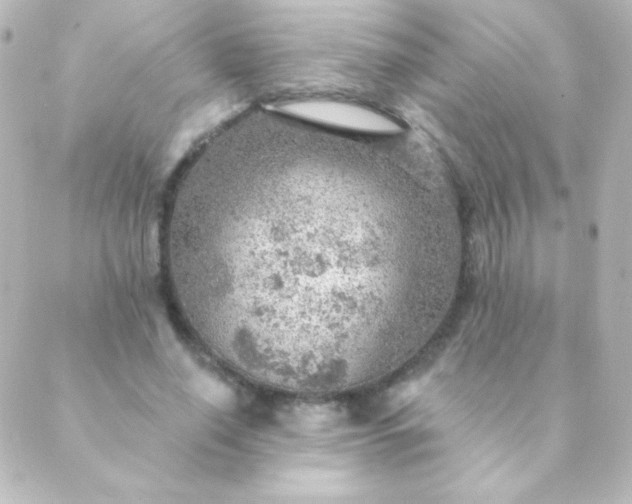 X0000088850638200706221701