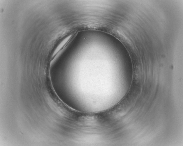 X0000088850639200706221701