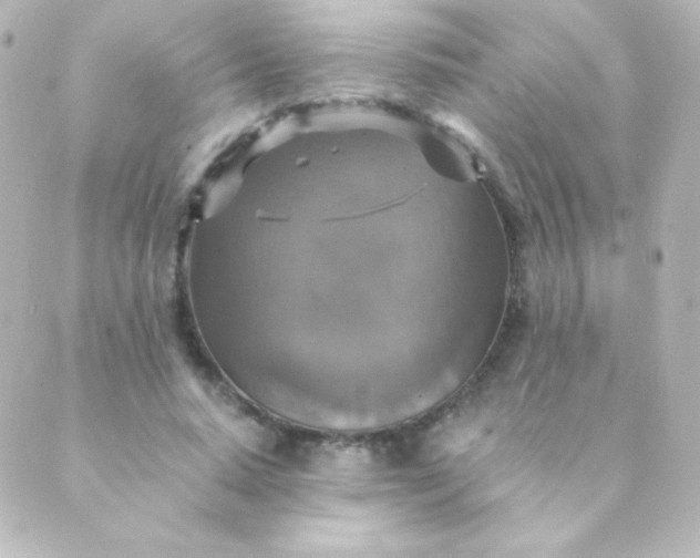 X0000088850640200706221701