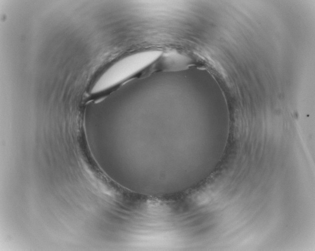 X0000088850641200706221701