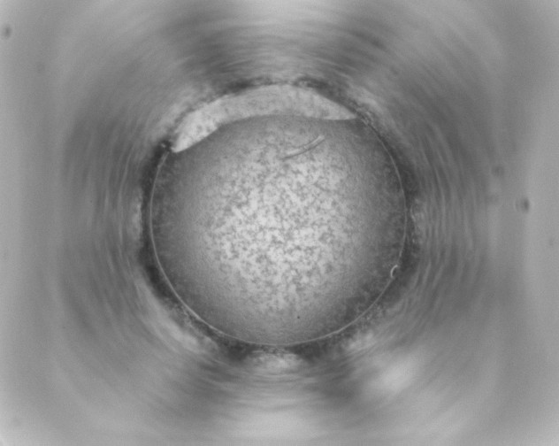 X0000088850642200706221701