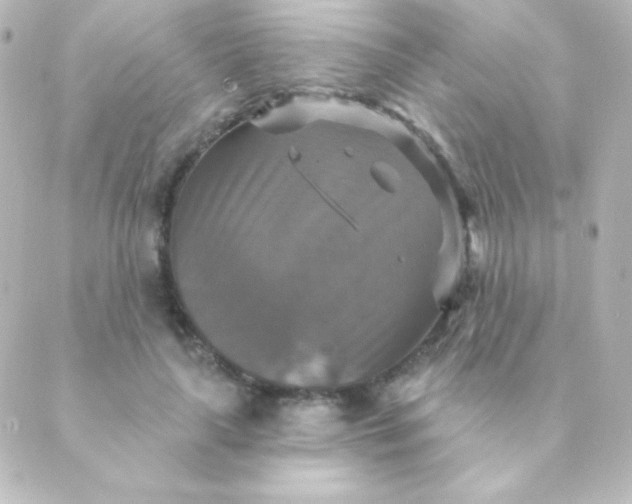 X0000088850643200706221701